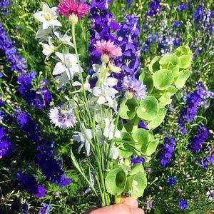 Meet your Posher, Morgen